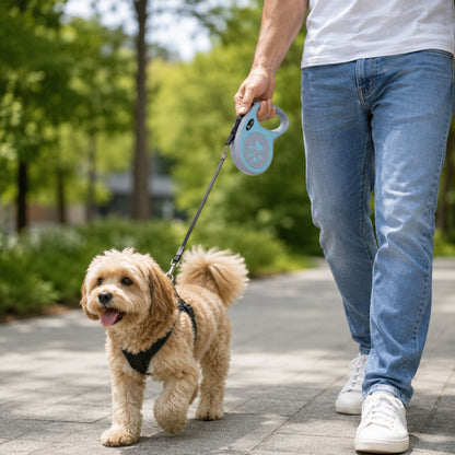 Retractable Dog Leash – 4 Colors